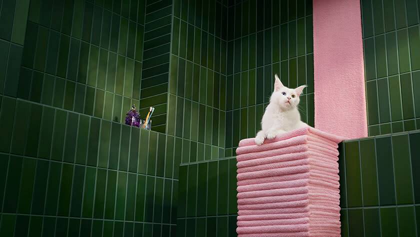 ProductImagery_BathAmenities_840x474_tiny.jpg